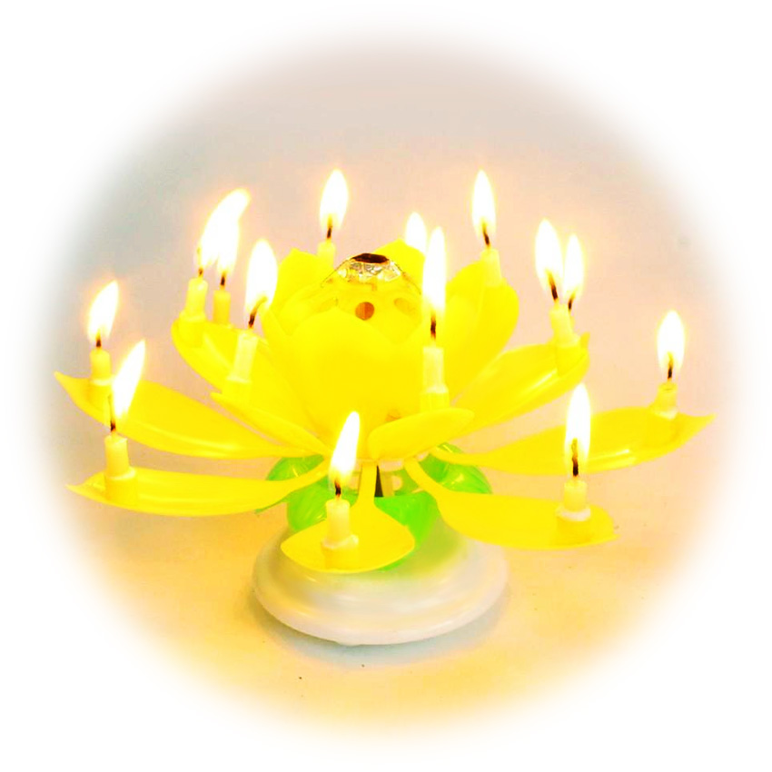 Nến sinh nhật 3D hình hoa Flower Candles