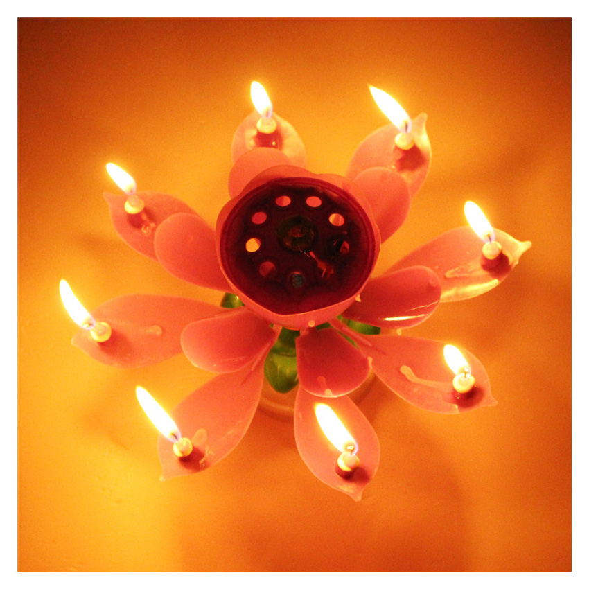 Nến sinh nhật 3D hình hoa Flower Candles