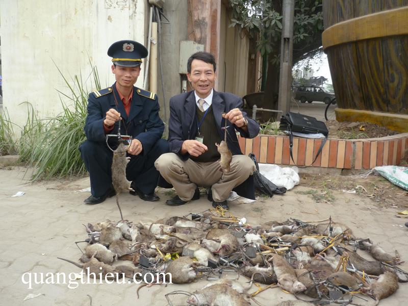 Bộ 4 bẫy chuột không mồi