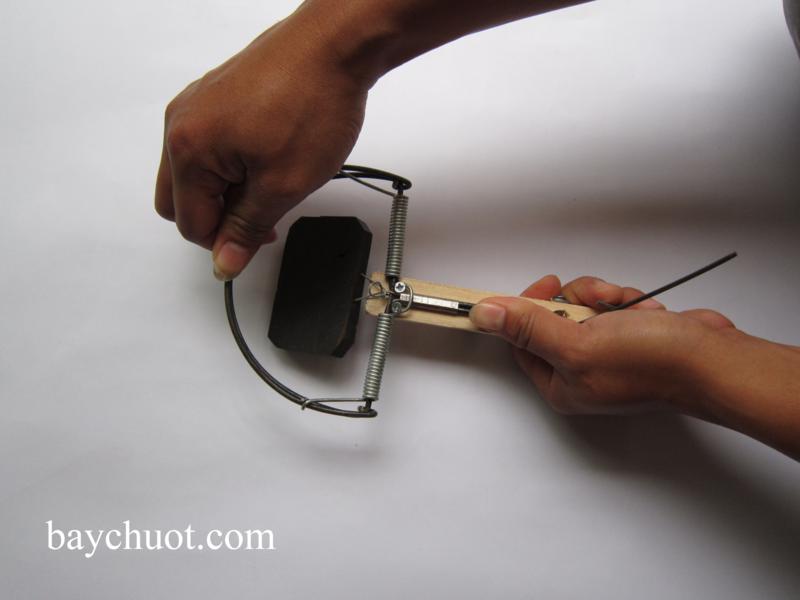 Bộ 4 bẫy chuột không mồi
