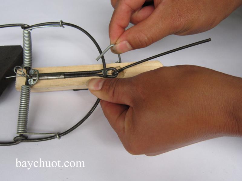 Bộ 4 bẫy chuột không mồi