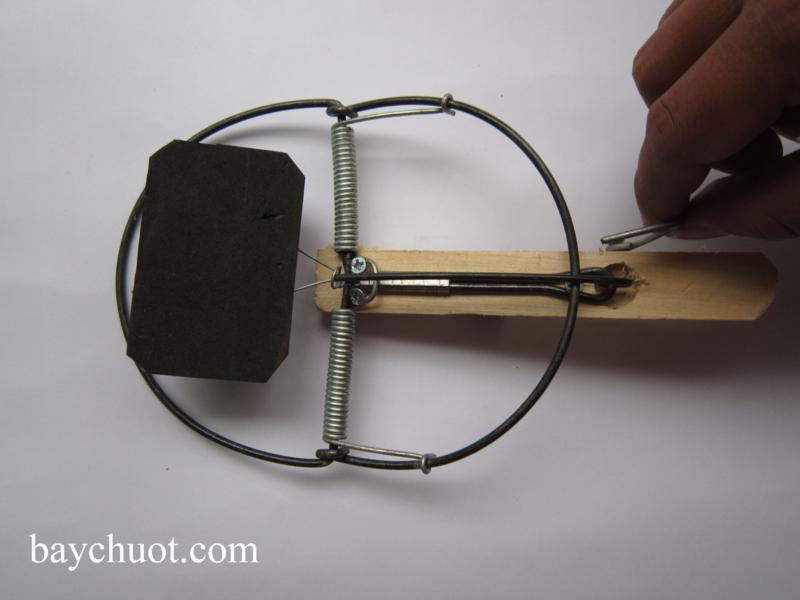 Bộ 5 bẫy chuột không mồi