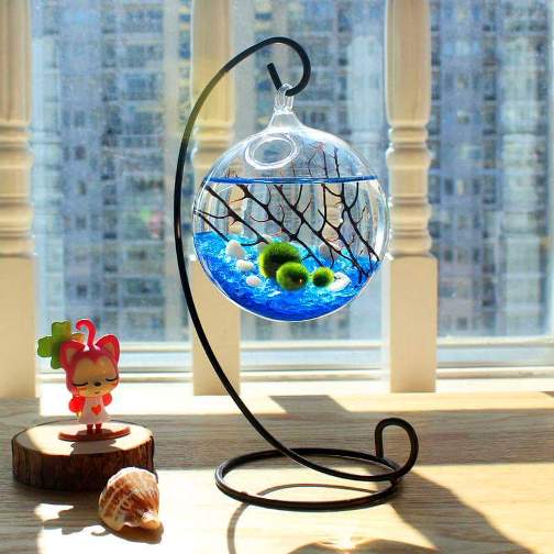 Bể cá treo mini để bàn độc đáo