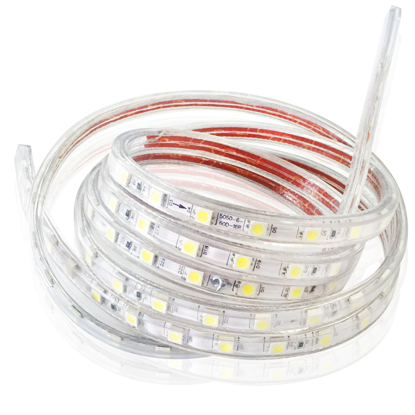 Bộ 40 mét Đèn LED dây 5050/220V 1 màu và đầu nối dây nguồn