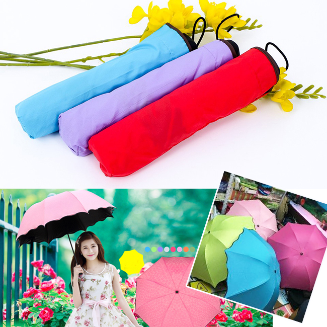 Dù đi mưa nở hoa khi gặp nước 2 lớp