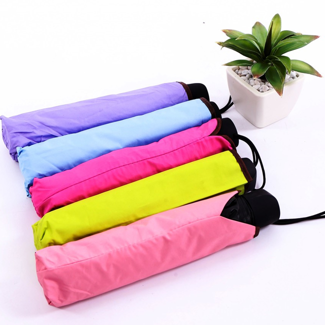 Dù đi mưa nở hoa khi gặp nước 2 lớp