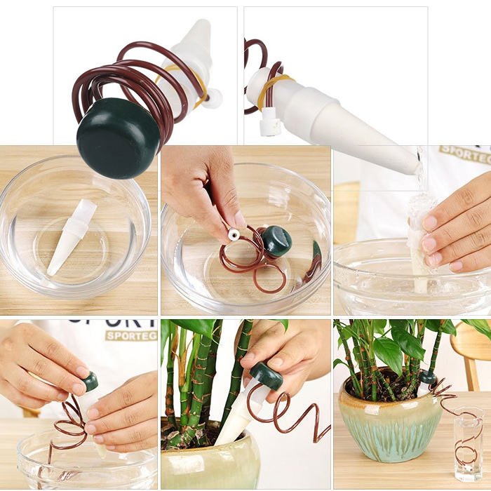 Dụng cụ tưới cây tự động cho cây kiểng mini