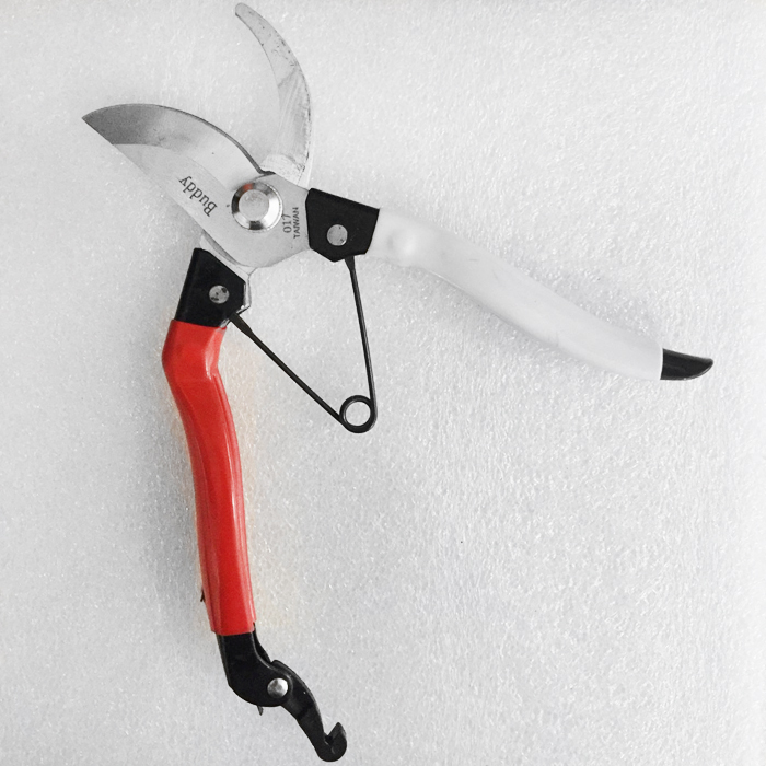 Kéo LICOTA/BUDDY A8 dùng để tỉa cây cắt cành