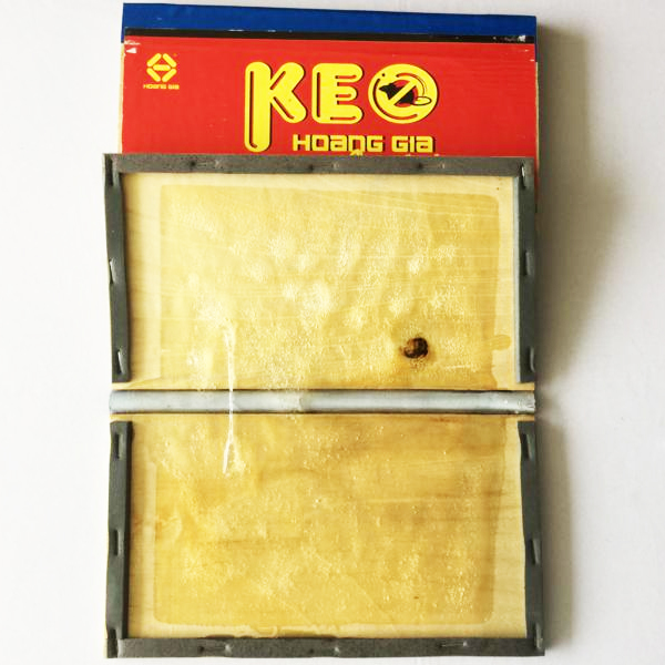 Bộ 4 keo dính chuột siêu dính
