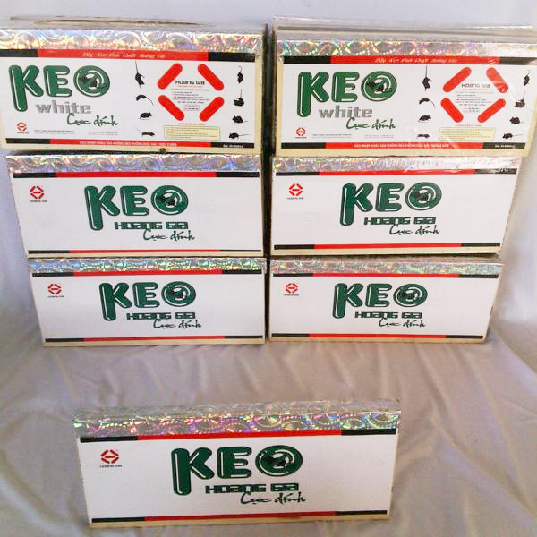 Bộ 10 keo dính chuột siêu dính