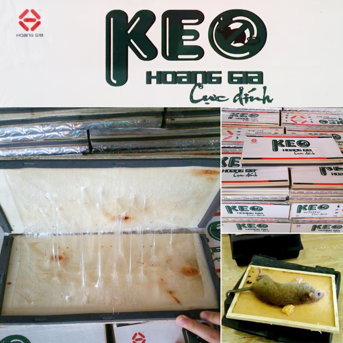 Bộ 10 keo dính chuột siêu dính