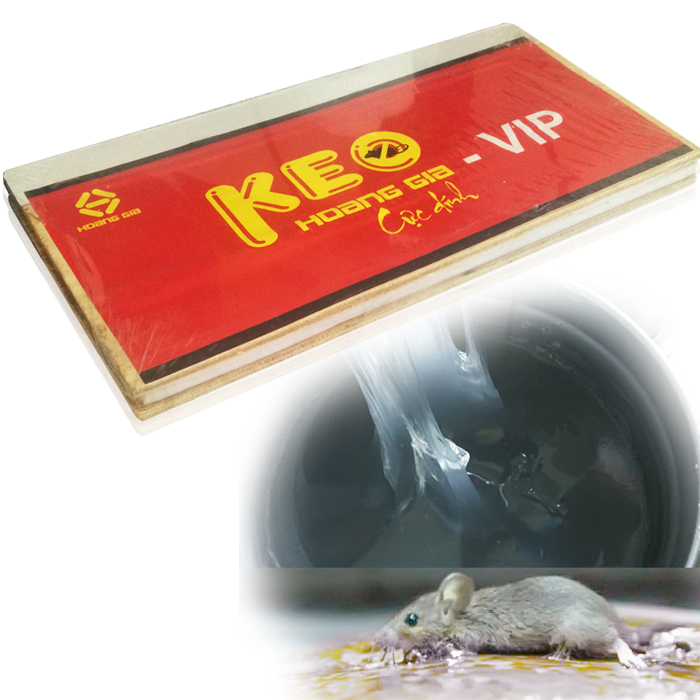Bộ 10 keo dính chuột siêu dính