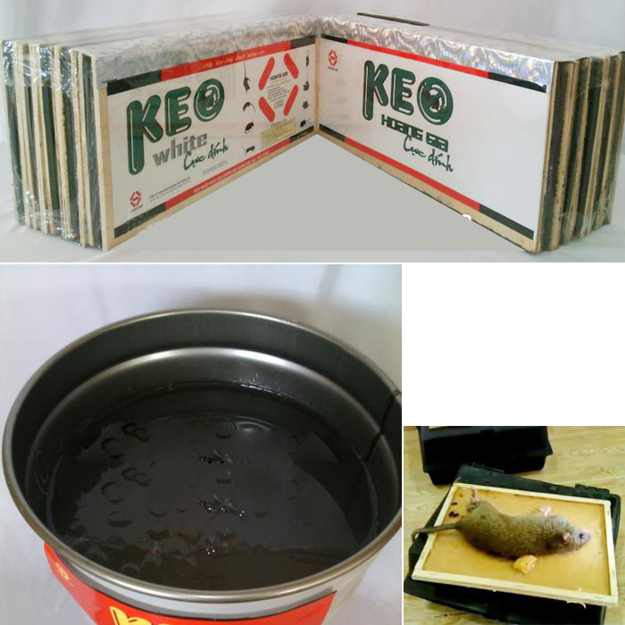 Bộ 4 keo dính chuột siêu dính