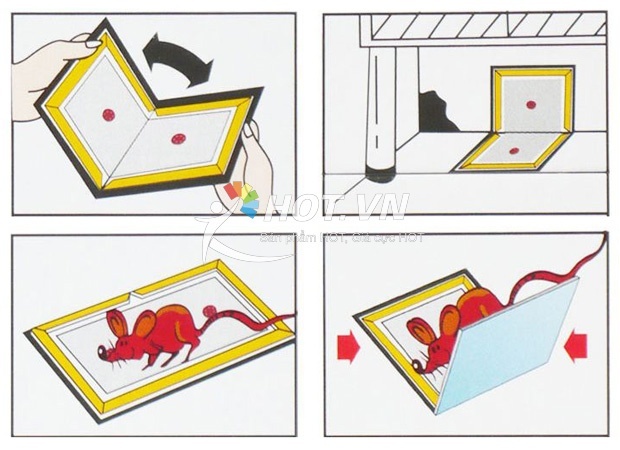 Bộ 10 keo dính chuột siêu dính