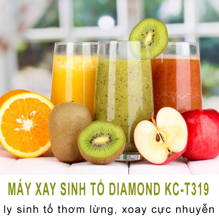 Máy xay sinh tố Kim Cương KC-T319 2 cối xay (nhựa)