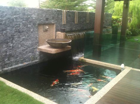Hồ cá Koi