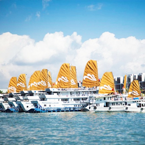 congtrinh_duan